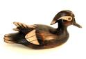 dark brown Ducks