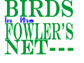 Birds in the Fowler's Net