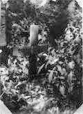 Eric Liddell's grave in 1945