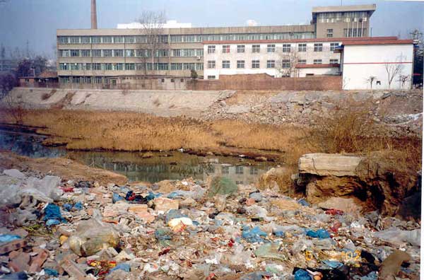 10-View from front gate across stream to Gaoliang fields