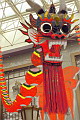 Kite Museum and after --->